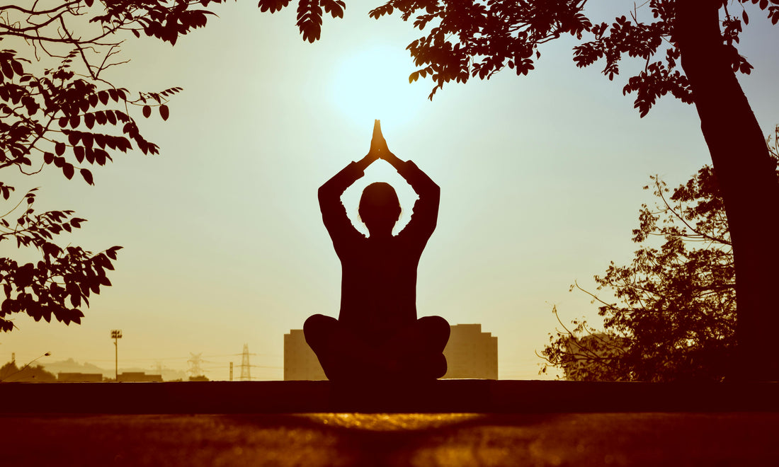 Review of Restorative Yoga: The Art of Doing Almost Nothing